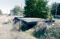 PeterSayers065 1.jpg