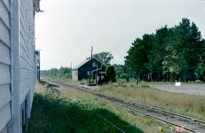 PeterSayers070 1.jpg