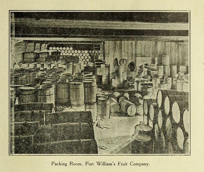 File:PortWilliamsFruit2.jpg