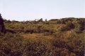 Saulnierville stn fill.jpg