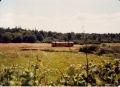 Srs 123 bloomfield1.jpg