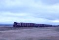 Train 22 Clifton.JPG