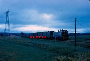 Train at Lower Truro 1961.jpg