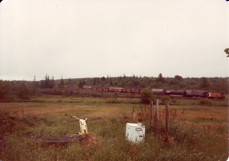 File:Untitled-Scanned-10.jpg