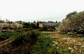 VIA Rail - Apple Bloosom Special - West of Wolfville - Wayne Hines Photos - 19870530.jpg