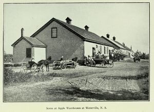 Waterville1916.jpg