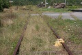 WindsorJunction 2 (1280x853).jpg
