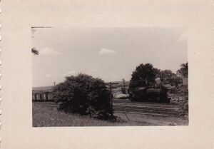 Windsor 1954 2.jpg