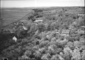 Wolfville Dykes.jpg
